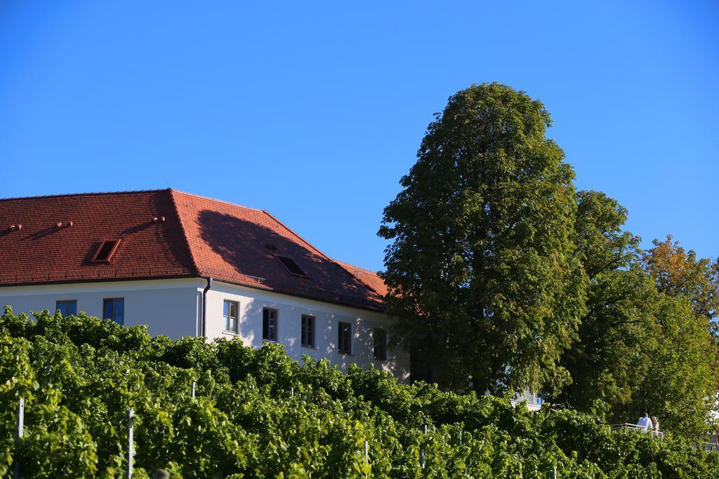 Vogelsburg Hotel Escherndorf Exterior photo