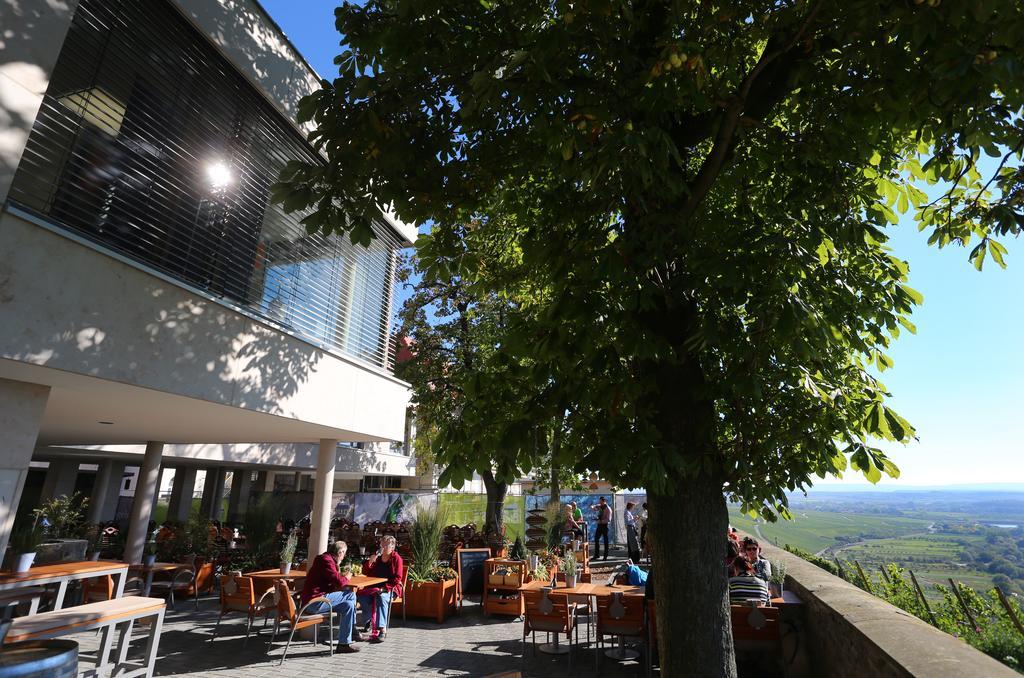 Vogelsburg Hotel Escherndorf Exterior photo