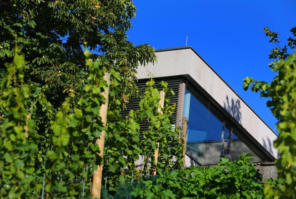 Vogelsburg Hotel Escherndorf Exterior photo